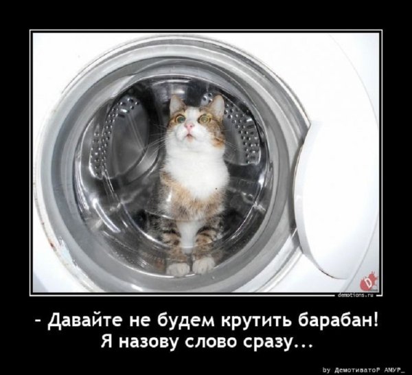 Давайте не будем крутить барабан. Я назову слово сразу.