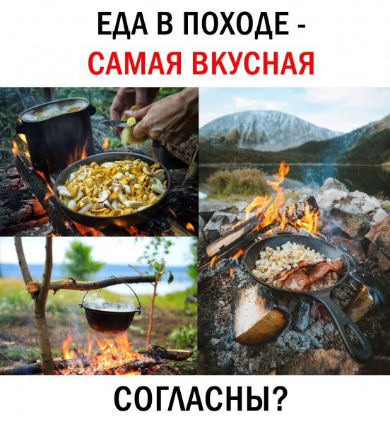 L JE1sEliLI