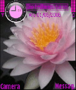theme2765 1