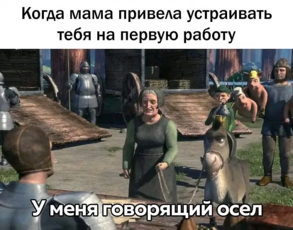 file_103156306