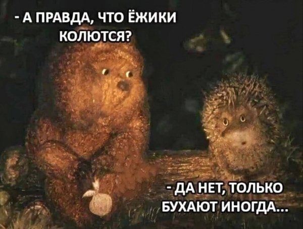 file_103250534
