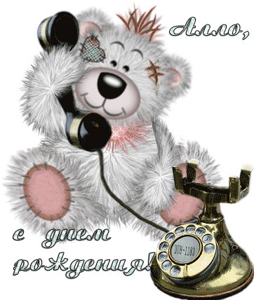 gallery 2 176 107661