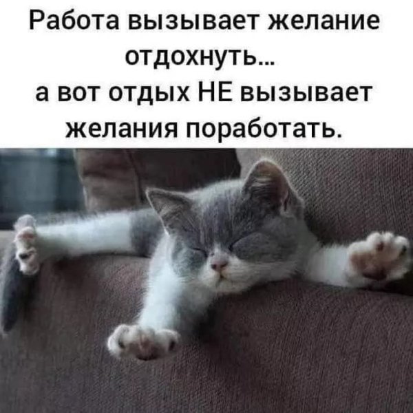 FB IMG 1756756445476