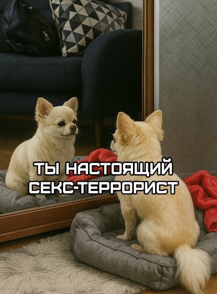 Секс террорист