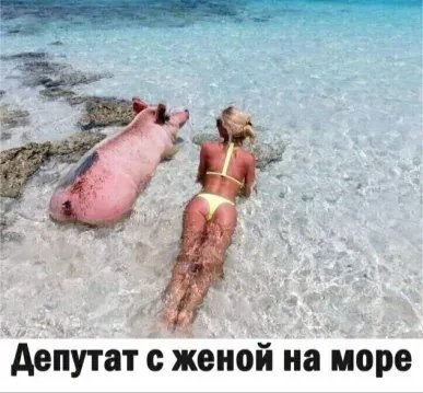 IMG 20220124 060743