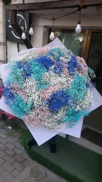 file_95715445