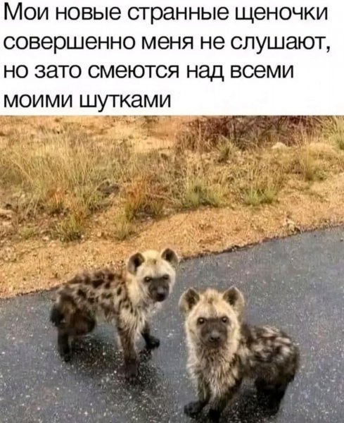 FB IMG 1751981573208