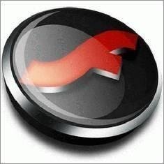 Adobe Flash Player v.11.5.502.135(Opera)