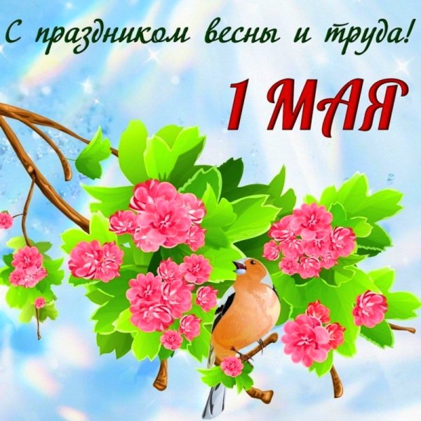 file_96556084