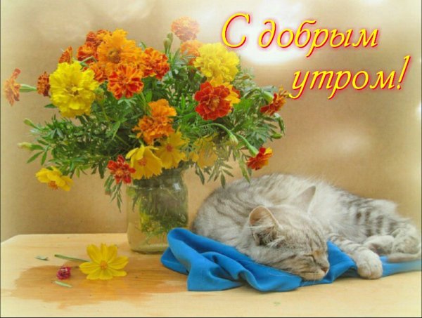UGt aiQOF3w