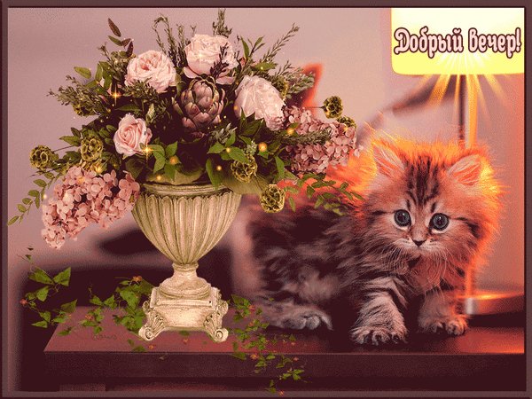 добрый вечер 084063