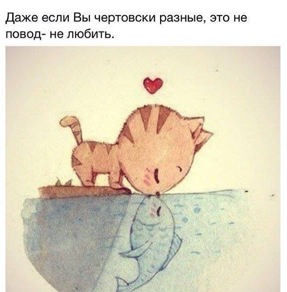 file_56739248
