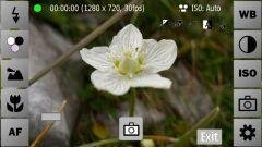 qCameraPro PureView 3.03(8) signed