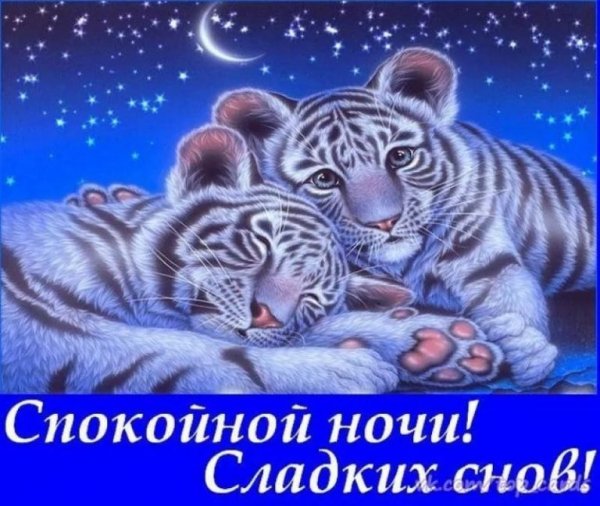 IMG 20190220 670961
