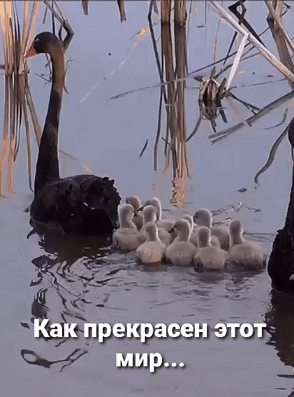 IMG 20220920 192043