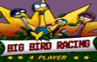 Big Birds Racing