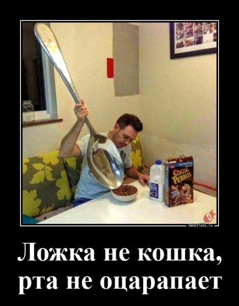 Ложка не кошка, рта не позарапет