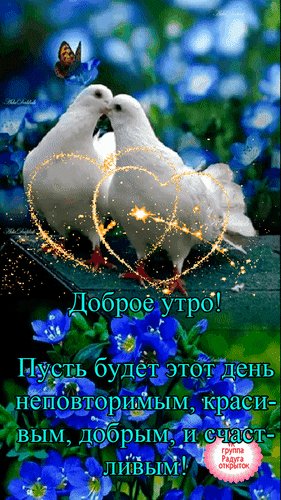 Анимированная открытка доброе утро (11)