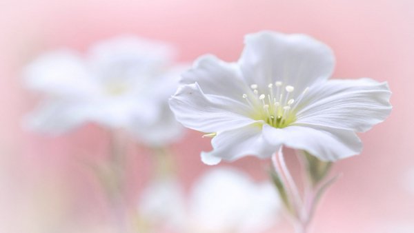 file_82034169