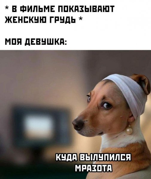 file_103237200