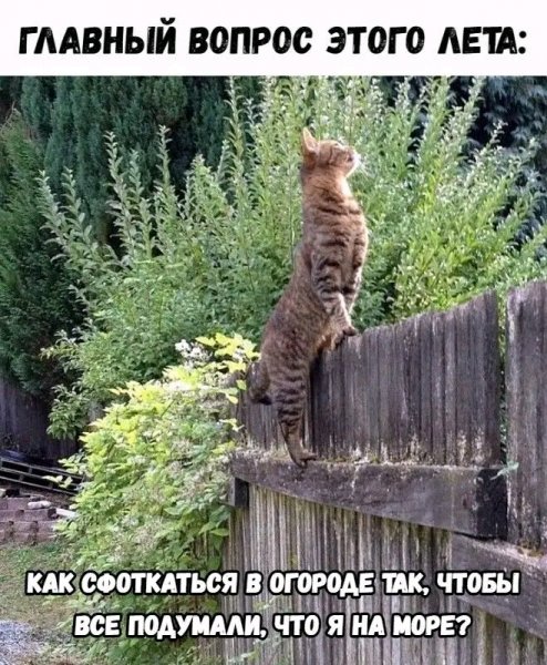 file_103210931