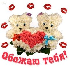 5bf56a72ea73270855640dd49fe9288a