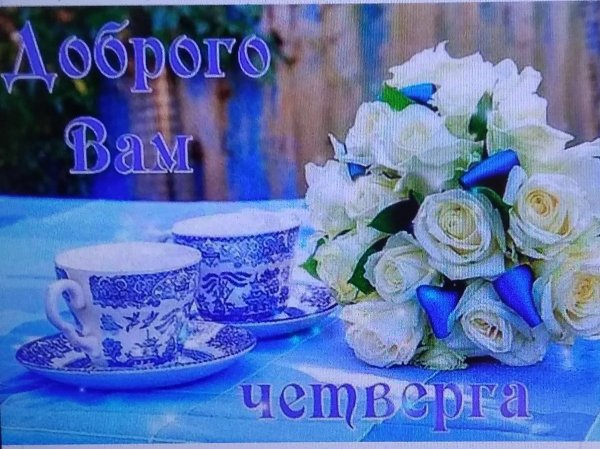 IMG 20181213 125708