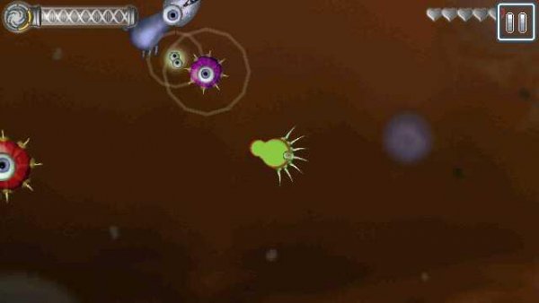 Spore