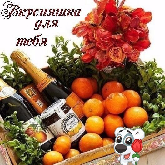 TCPOmVz0ixo