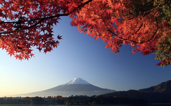 mount fuji autumn maple japan-wide