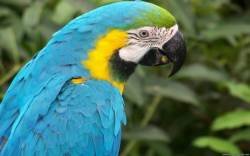 file_51760094