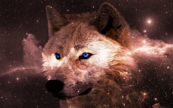 Animal-galaxy-wallpaper-space