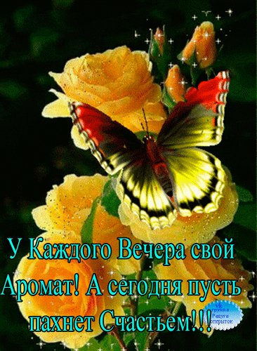 доброго вечера 000214