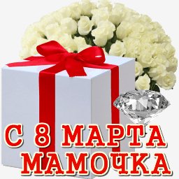 getImage(366)