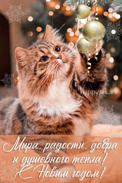 file_92335592