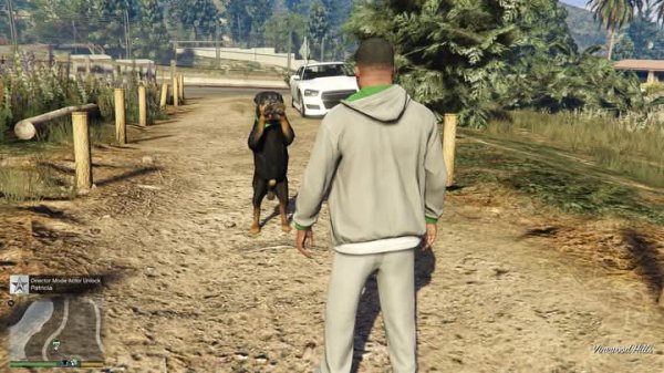 GTA 5