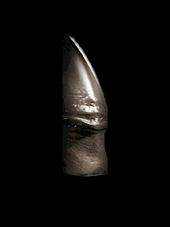 alien325202
