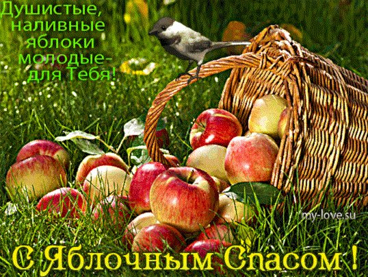 С яблочным Спасом!