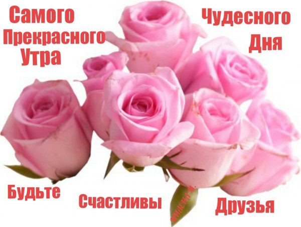 6a2pTfJ c-U