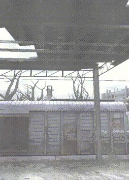 Сталк Росток