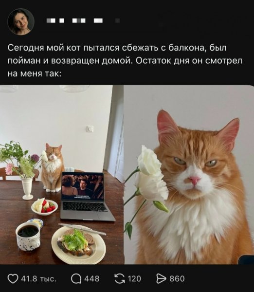 file_103347047