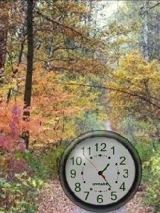 Autumn