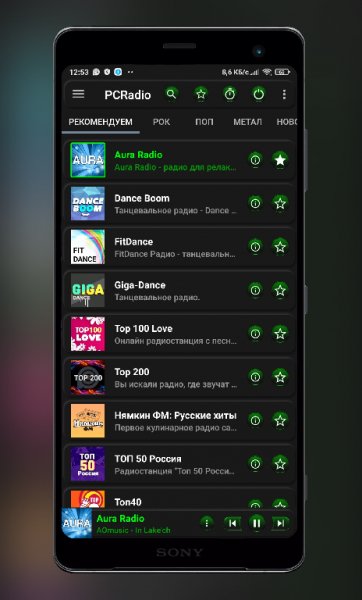 PCRadio Premium Green 2.5.2.2