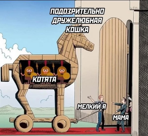 FB IMG 1743959576941