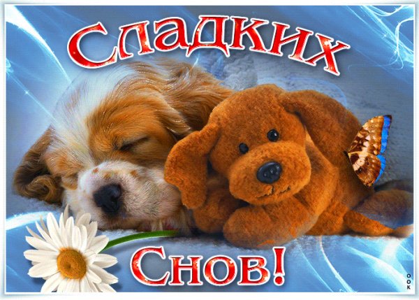 сладких снов 010004