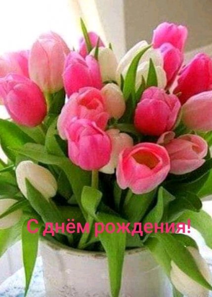 FB IMG 16515167802349828