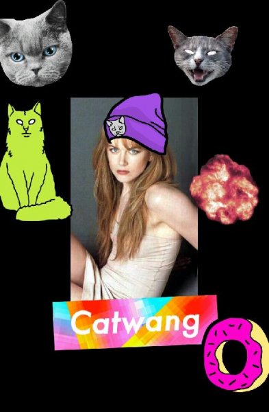 Cat-wang-v1.0