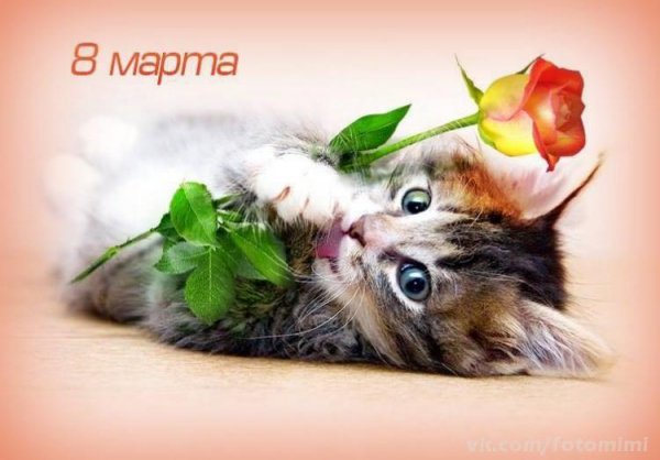 8 Марта