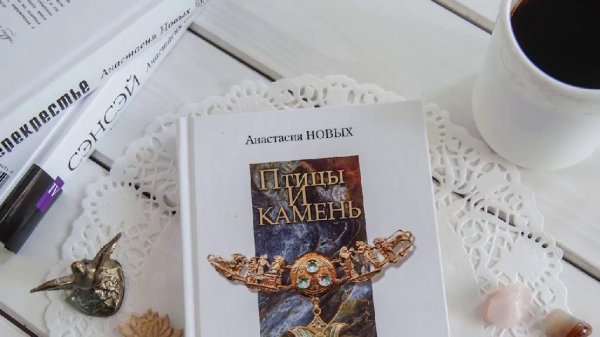 02.Птицы и камень. Дежурство