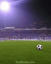 soccer176x220